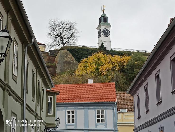 Zlatica Petrovaradin Exteriör bild
